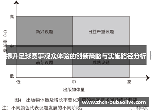 提升足球赛事观众体验的创新策略与实施路径分析