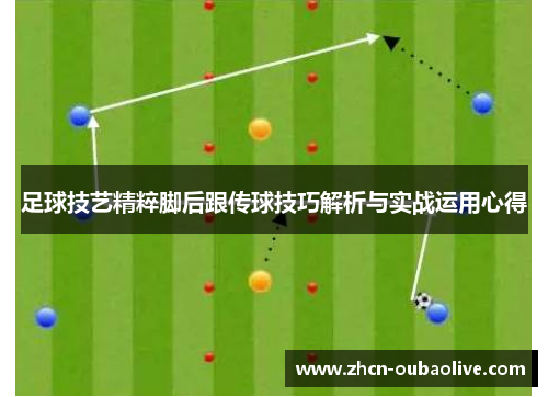 足球技艺精粹脚后跟传球技巧解析与实战运用心得