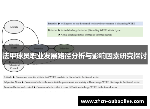 法甲球员职业发展路径分析与影响因素研究探讨