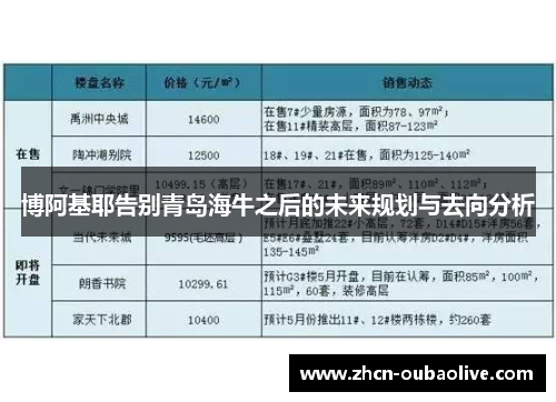 博阿基耶告别青岛海牛之后的未来规划与去向分析