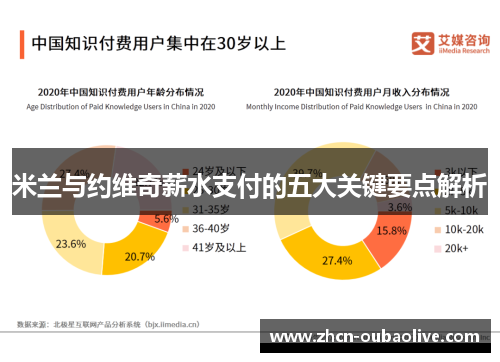 米兰与约维奇薪水支付的五大关键要点解析