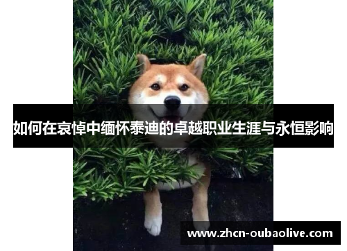 如何在哀悼中缅怀泰迪的卓越职业生涯与永恒影响
