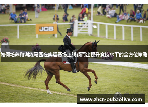 如何培养和训练马匹在奥运赛场上脱颖而出提升竞技水平的全方位策略