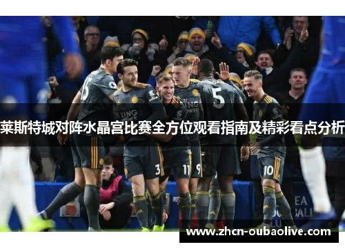 莱斯特城对阵水晶宫比赛全方位观看指南及精彩看点分析