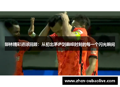 郜林精彩进球回顾：从初出茅庐到巅峰时刻的每一个闪光瞬间