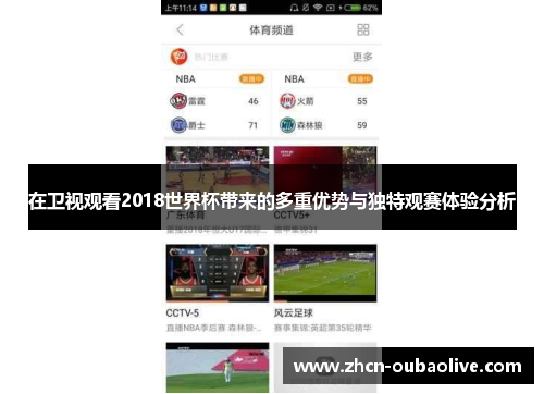 在卫视观看2018世界杯带来的多重优势与独特观赛体验分析