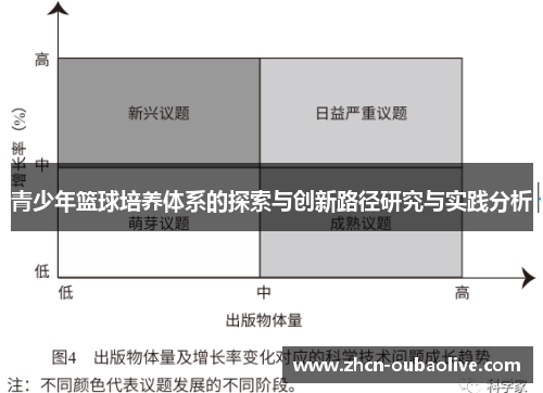 青少年篮球培养体系的探索与创新路径研究与实践分析