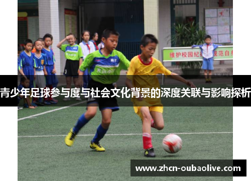 青少年足球参与度与社会文化背景的深度关联与影响探析